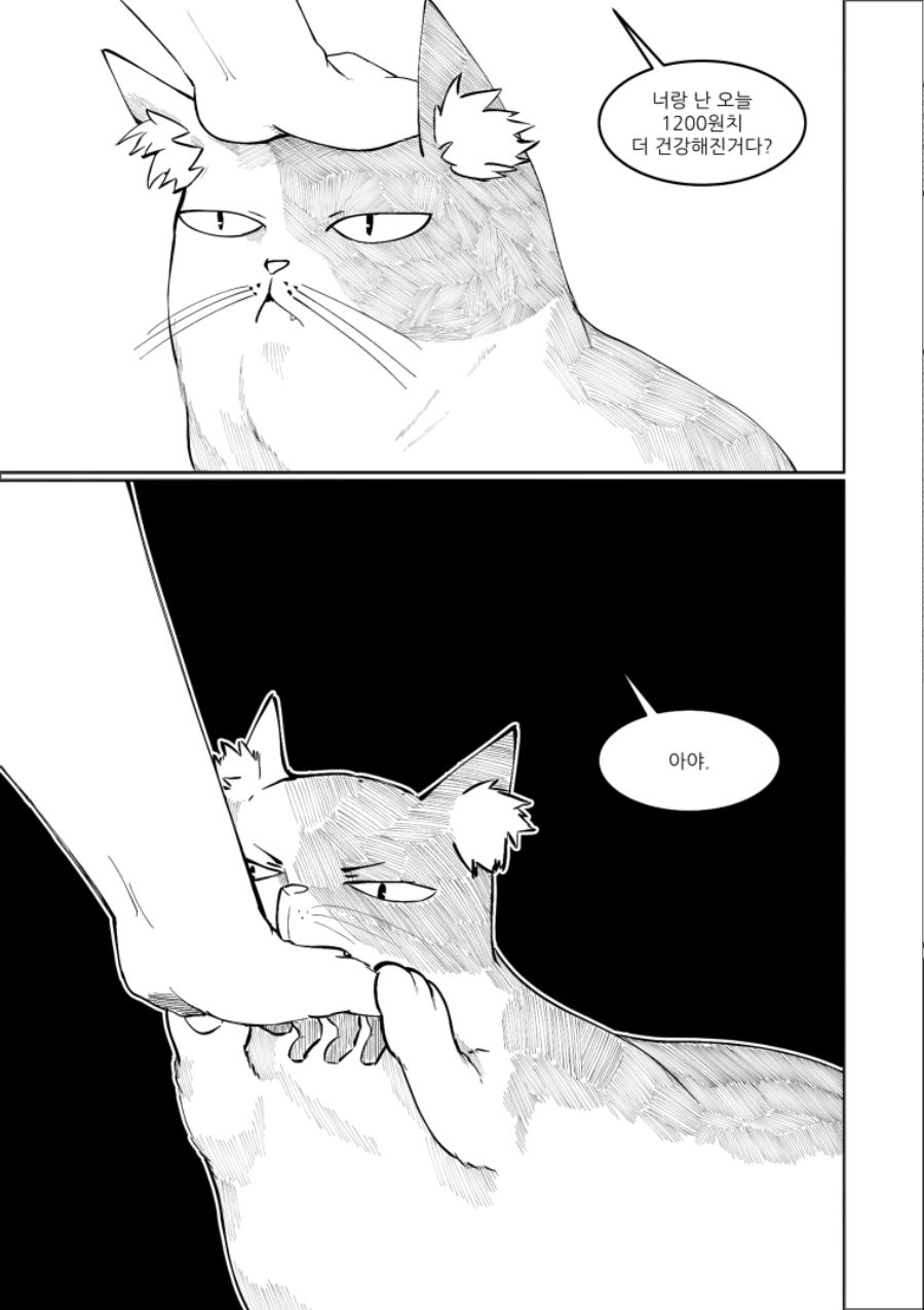 manga_974810_013.jpg