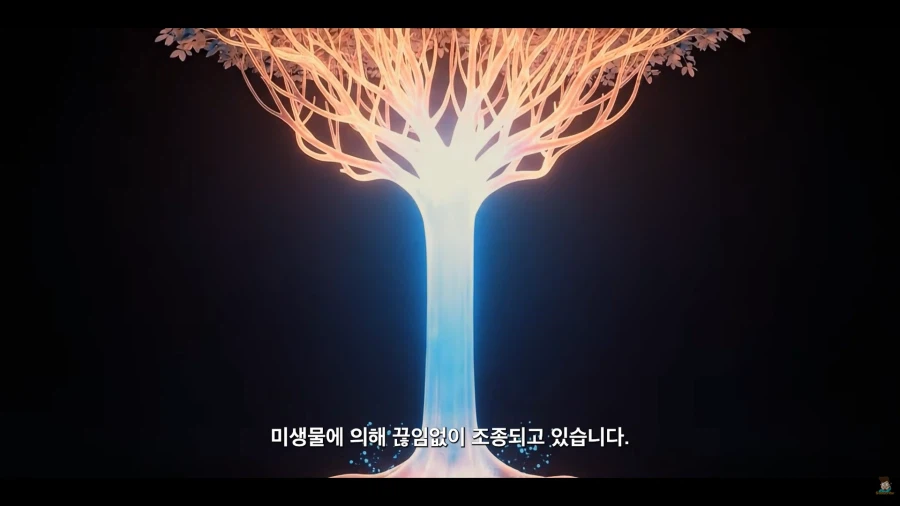가족들이 닮아가는 생물적 이유_56.webp