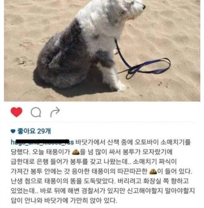 은행나오다 오투바이 소매치기 당한사람_1.webp