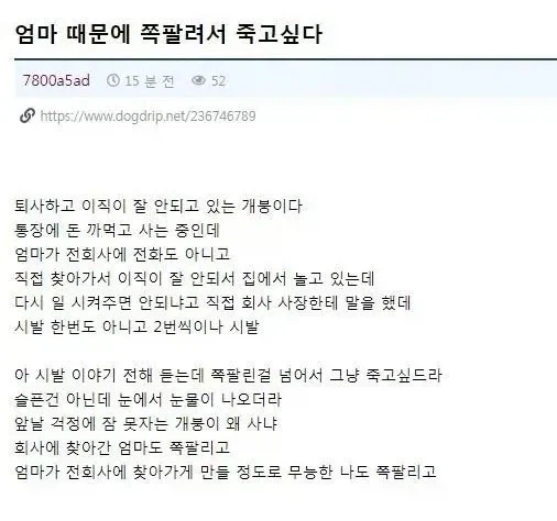 엄마 때문에 쪽팔려서 죽고 싶다는 개드리퍼_1.webp