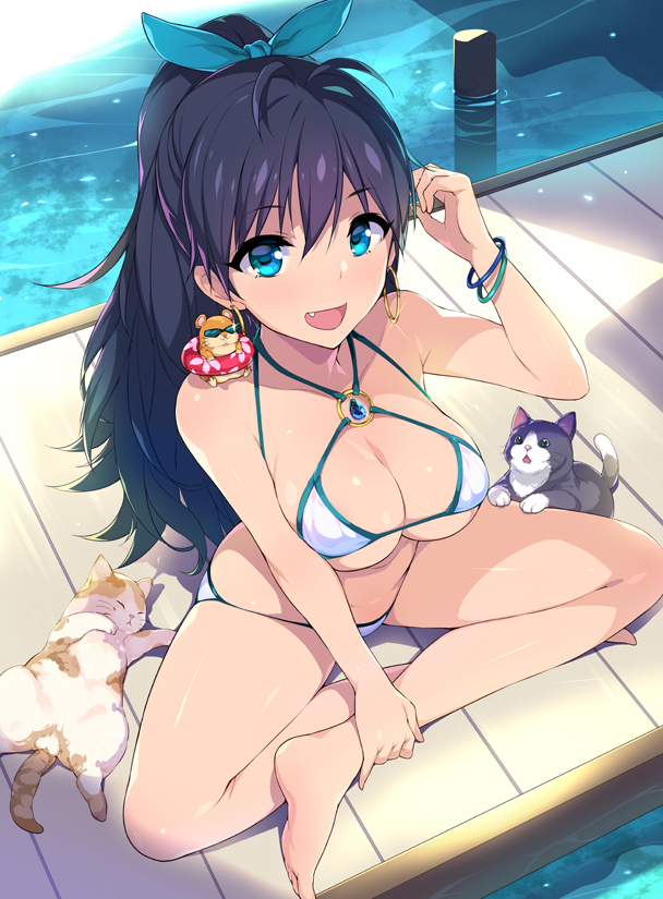 72045489_p0.png