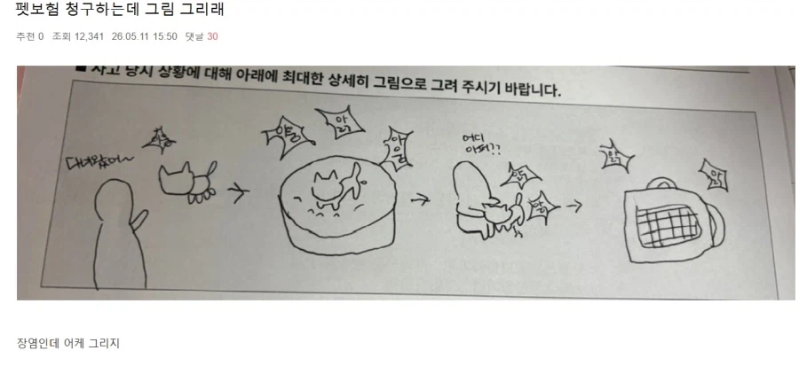 펫보험 청구하는데 그림 그리래_1.webp