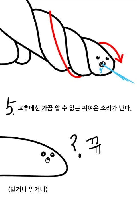 여자들은 모르는 꼬추의 비밀_1.webp