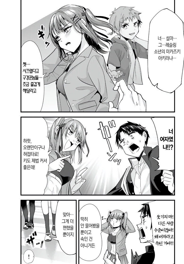 manga_2576709_011.jpg