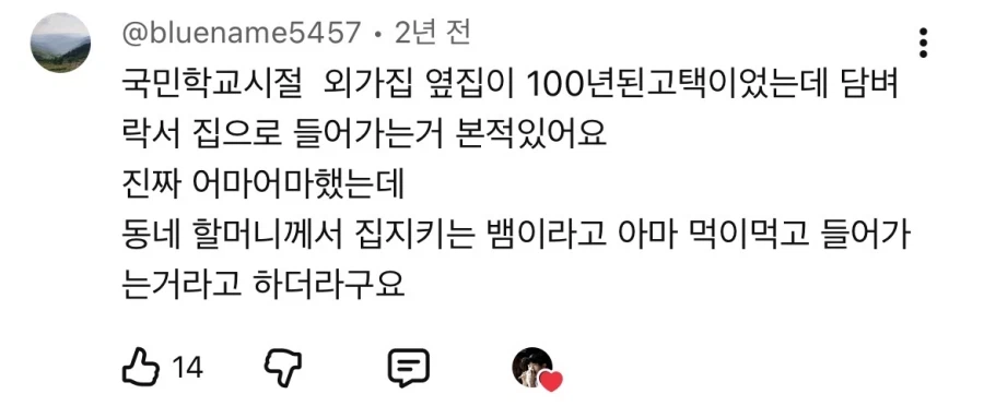 예전 우리나라에서 애완동물로 많이 키우던 동물.jpg_2.webp