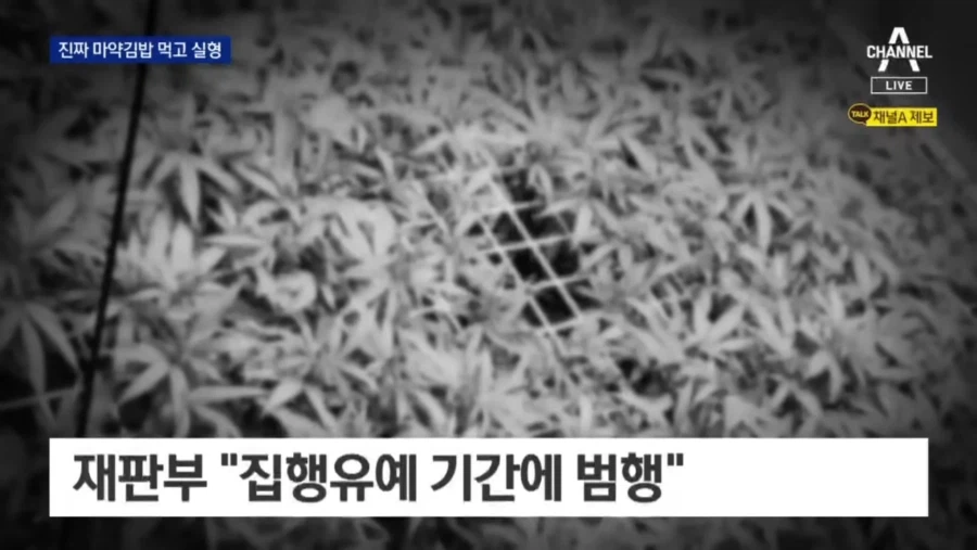 ㄹㅇ 중독적인 ㅁ약김밥 만드는 법.jpg_9.webp
