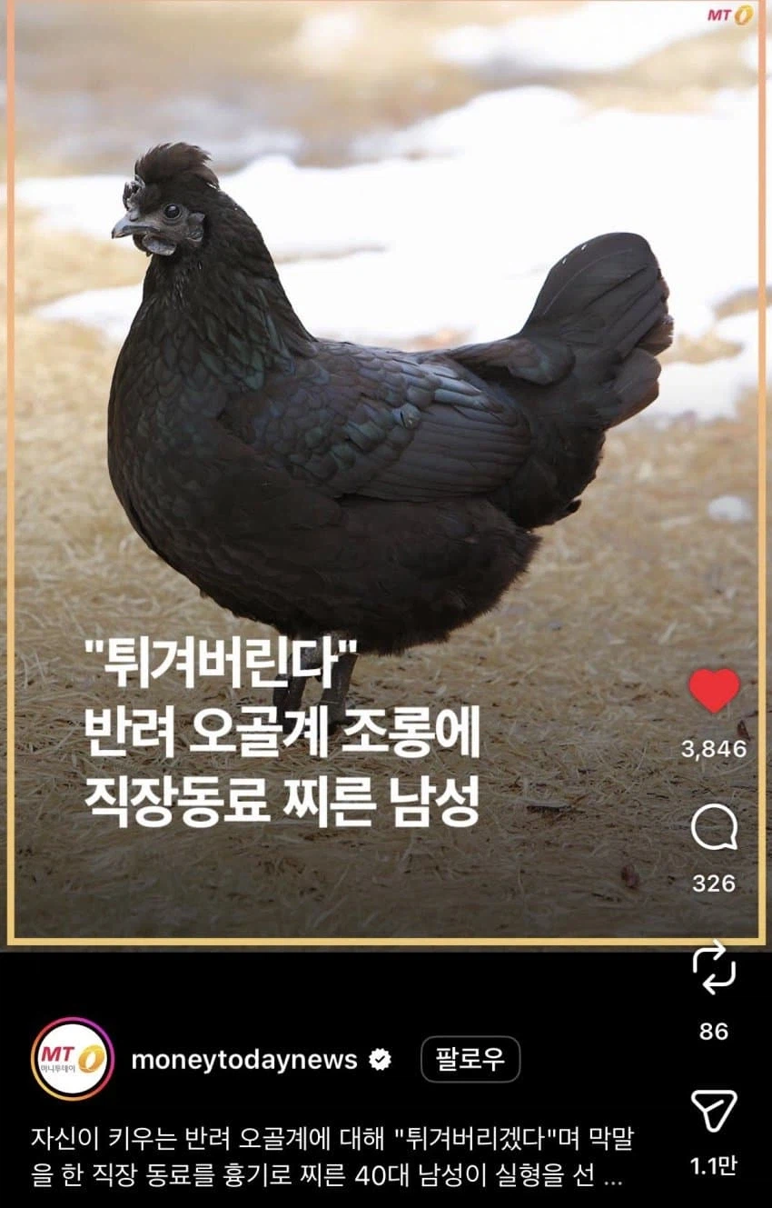 직장 동료를 칼로 찌른 이유.jpg_1.webp