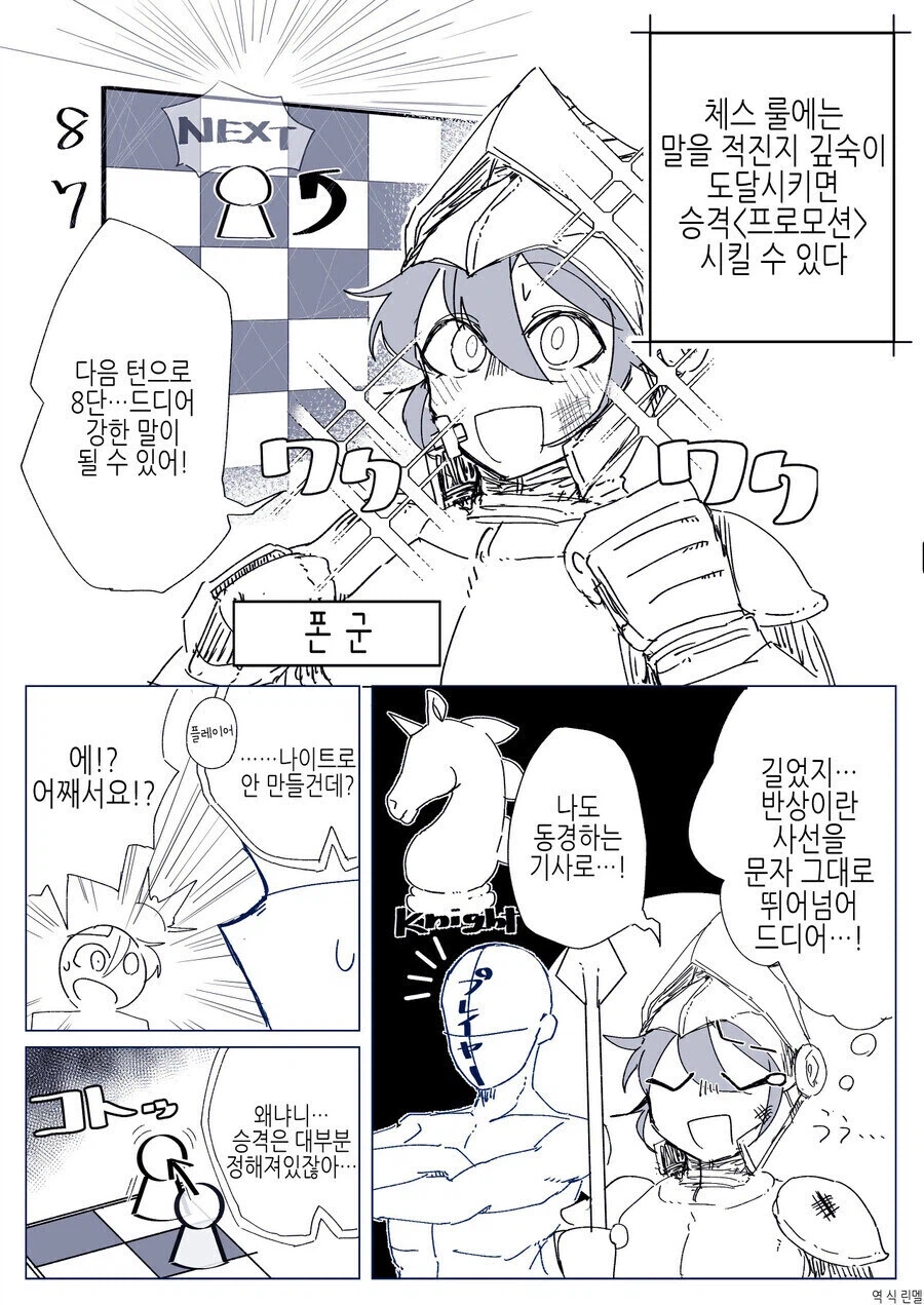 체스의 룰