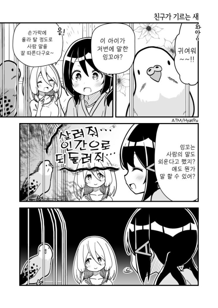 친구가 잉꼬 기르는 만화_1.jpg