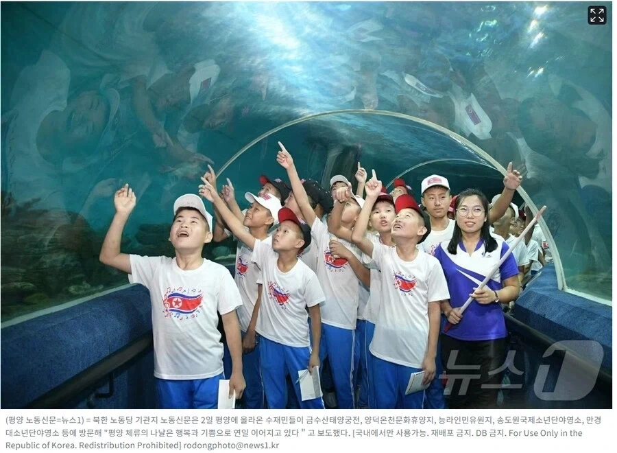 아쿠아리움 구경하는 북한 학생들_1.webp