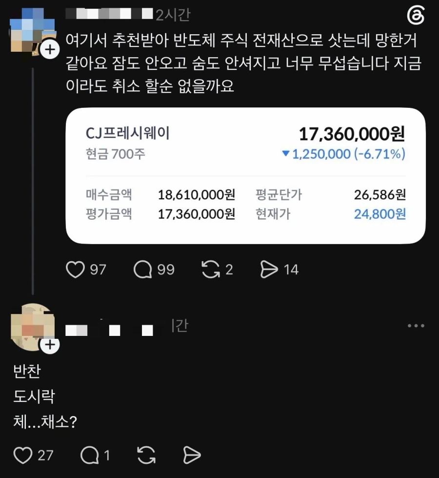 전재산으로 반도체 주식 풀매수한 사람.jpg_1.webp