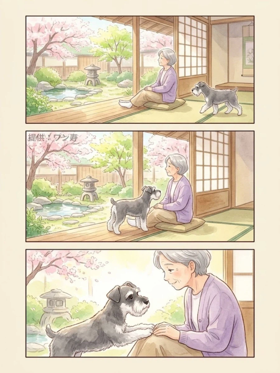 너를 만나서 다행이야.manga_6.webp