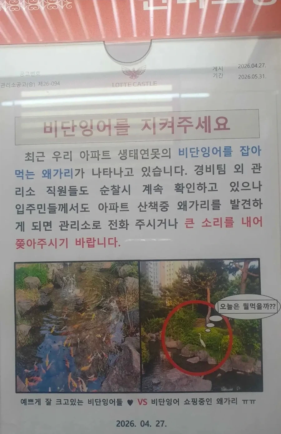 아파트 단지내 왜가리_1.webp