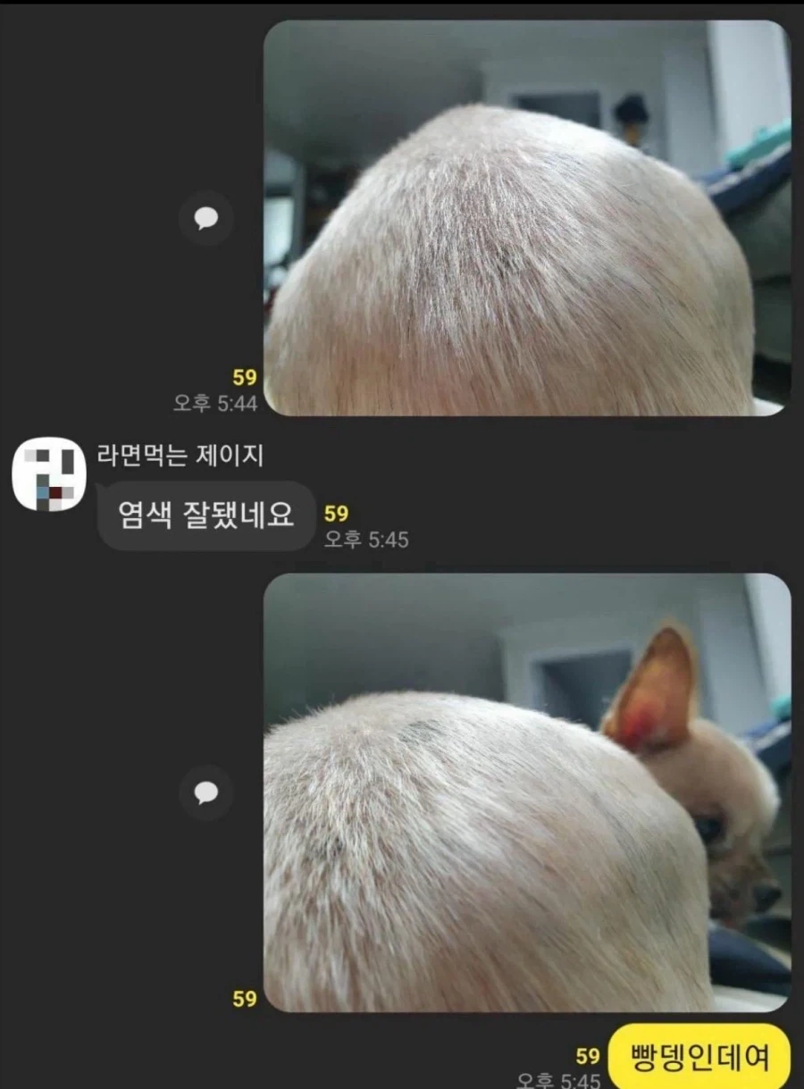 염색 잘됐네요_1.webp