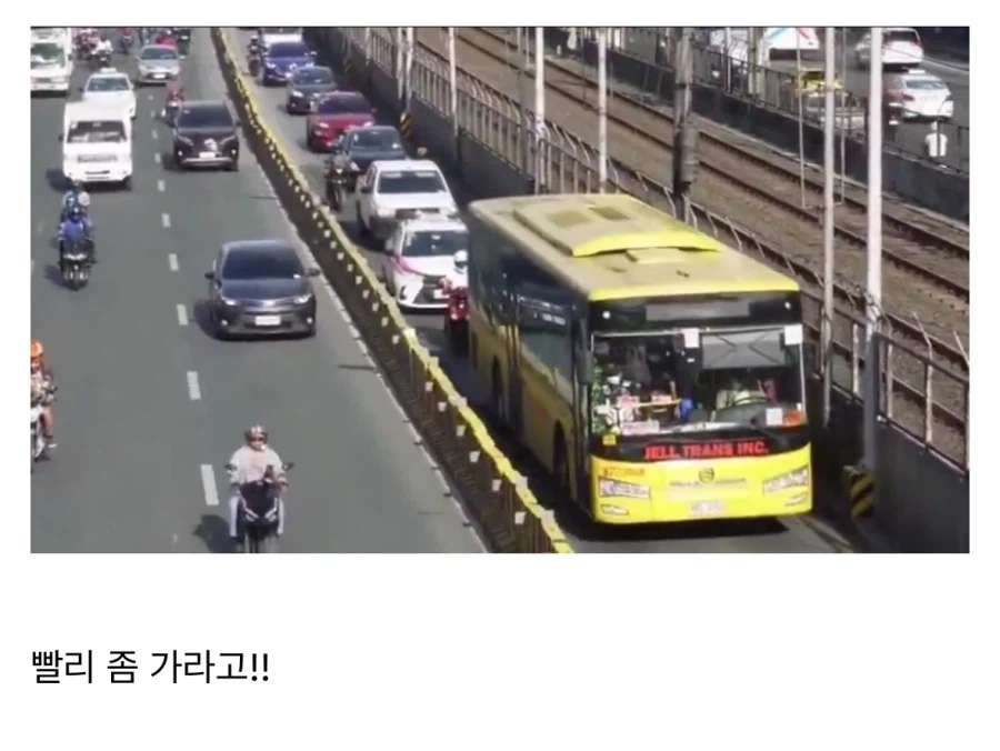 앞에 버스 개 느리네.jpg_1.webp