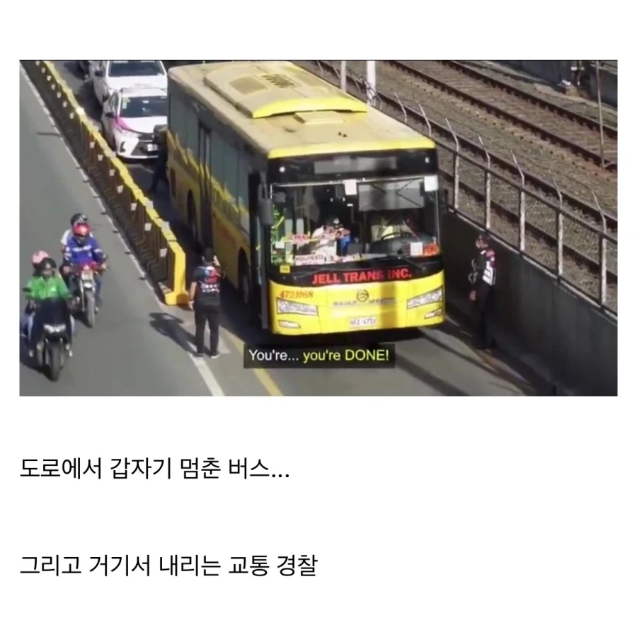 앞에 버스 개 느리네.jpg_2.webp