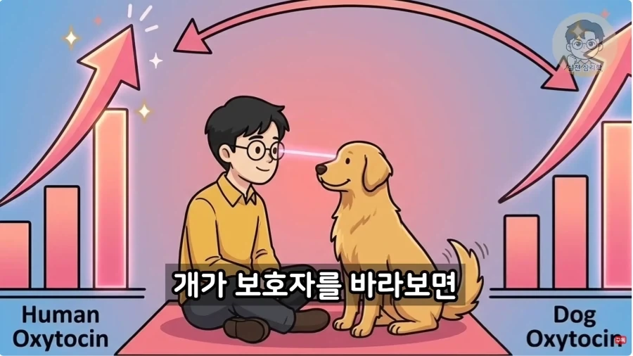 인간과 개가 종을 초월한 관계인 이유_10.webp