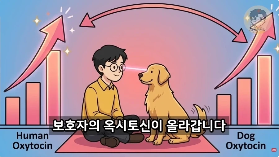 인간과 개가 종을 초월한 관계인 이유_11.webp