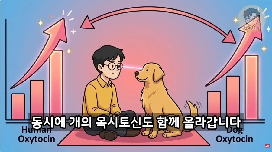 인간과 개가 종을 초월한 관계인 이유_12.webp