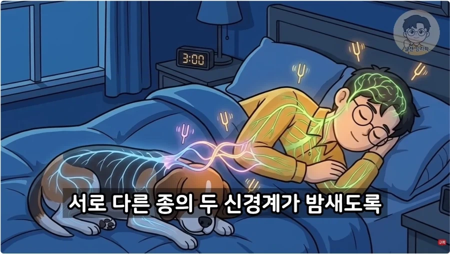 인간과 개가 종을 초월한 관계인 이유_27.webp