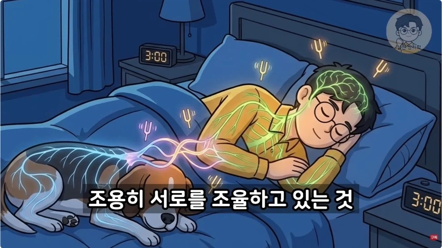 인간과 개가 종을 초월한 관계인 이유_28.webp