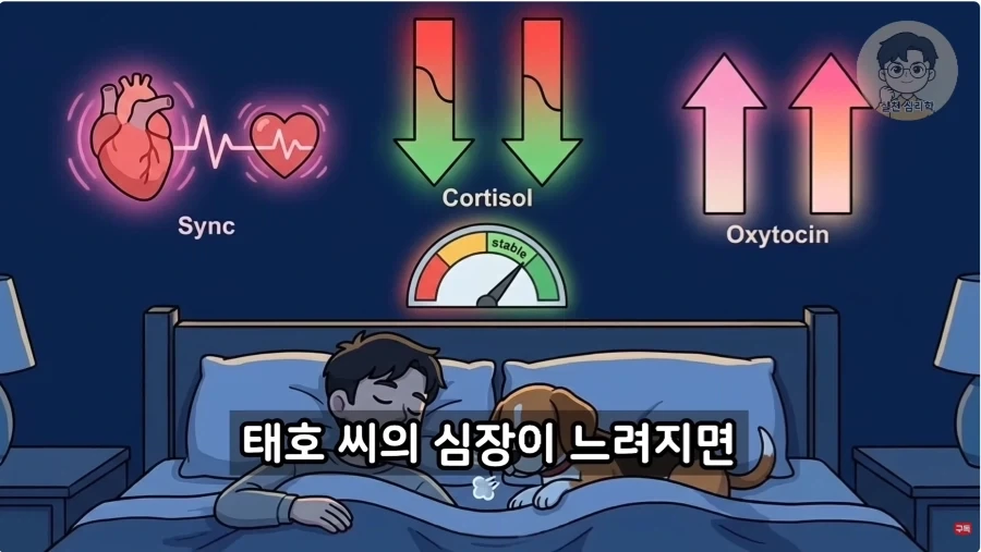 인간과 개가 종을 초월한 관계인 이유_29.webp