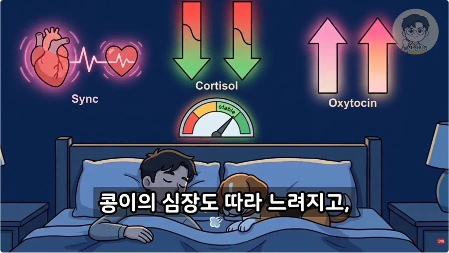 인간과 개가 종을 초월한 관계인 이유_30.webp