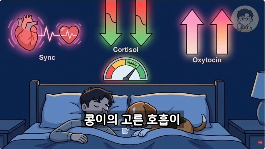 인간과 개가 종을 초월한 관계인 이유_31.webp