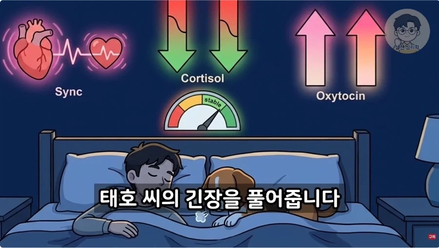 인간과 개가 종을 초월한 관계인 이유_32.webp