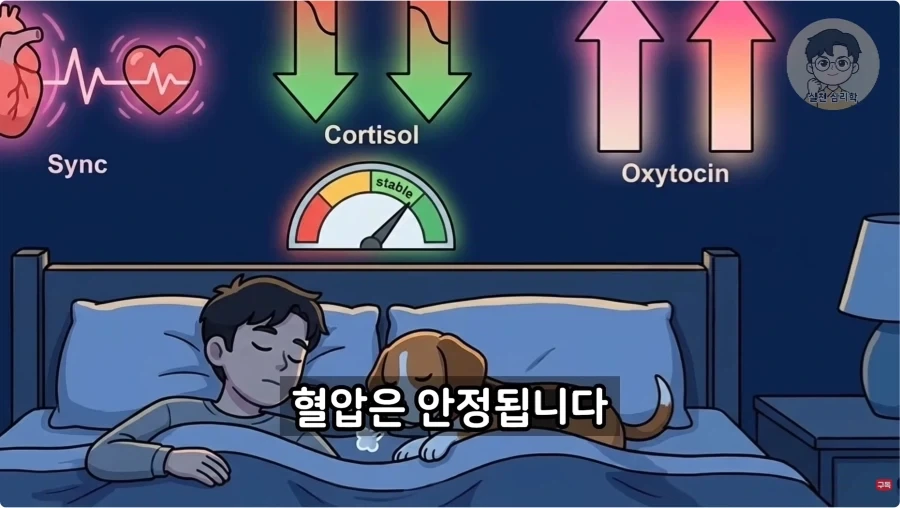 인간과 개가 종을 초월한 관계인 이유_33.webp