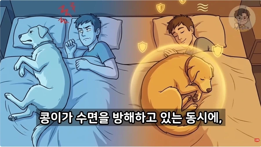 인간과 개가 종을 초월한 관계인 이유_34.webp