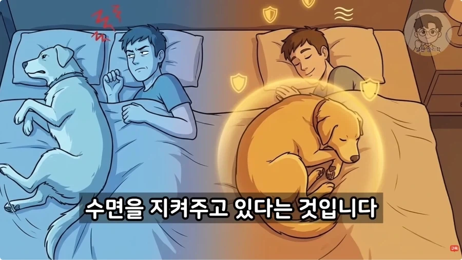 인간과 개가 종을 초월한 관계인 이유_35.webp