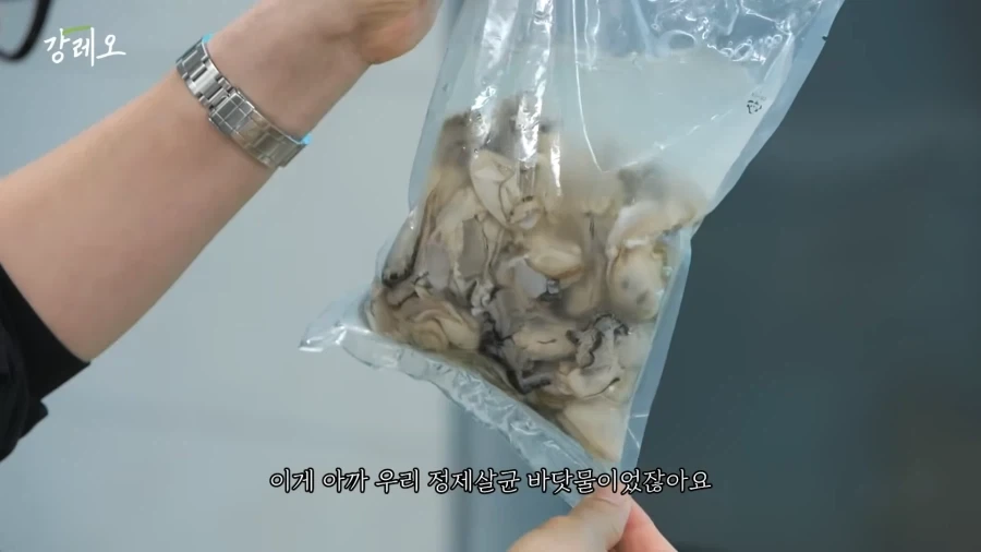 유튜브) 굴에 이물질이 너무 많을때 강레오 셰프의 팁_1.webp