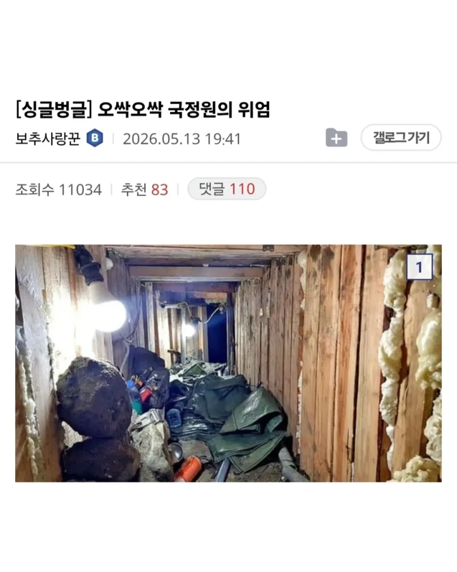 공포의 국정원의 위엄.jpg_1.webp