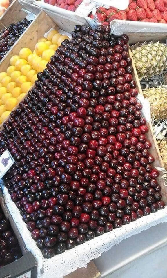 마음이 편안해지는 짤.jpg_12.jpg