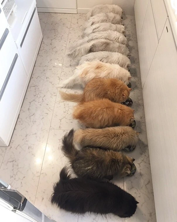 마음이 편안해지는 짤.jpg_20.jpg