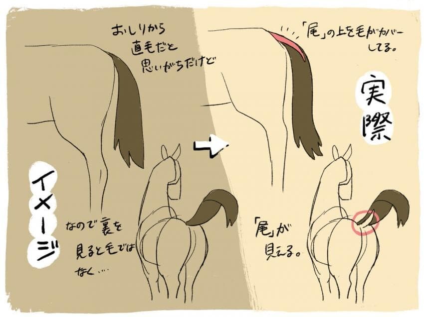 manga_3429135_001.jpeg
