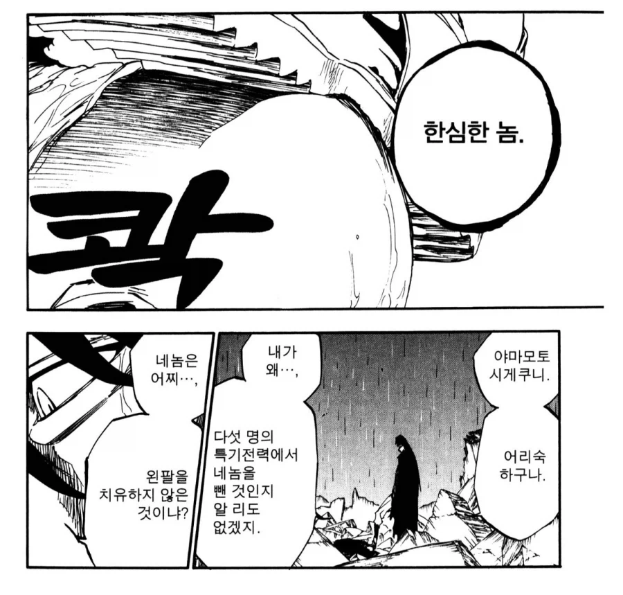 블리치 생각해보면 켄파치가 특기전력 단건도 결국 대타였단 말이지_1.webp