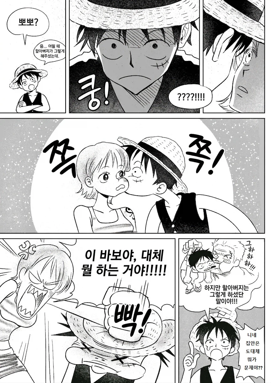 원피스 팬만화)