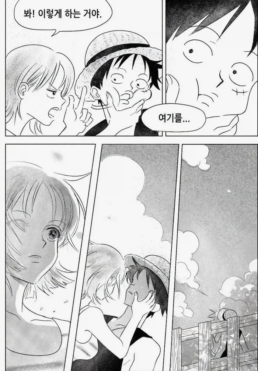 원피스 팬만화)
