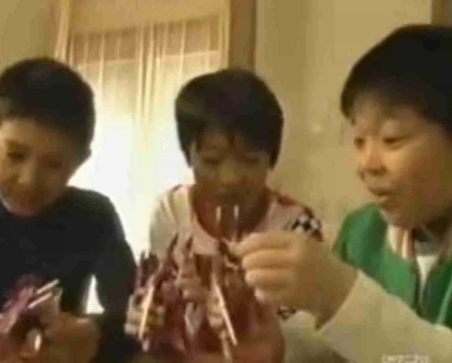 건담)SEED 프라모델 광고 모음_2.webp