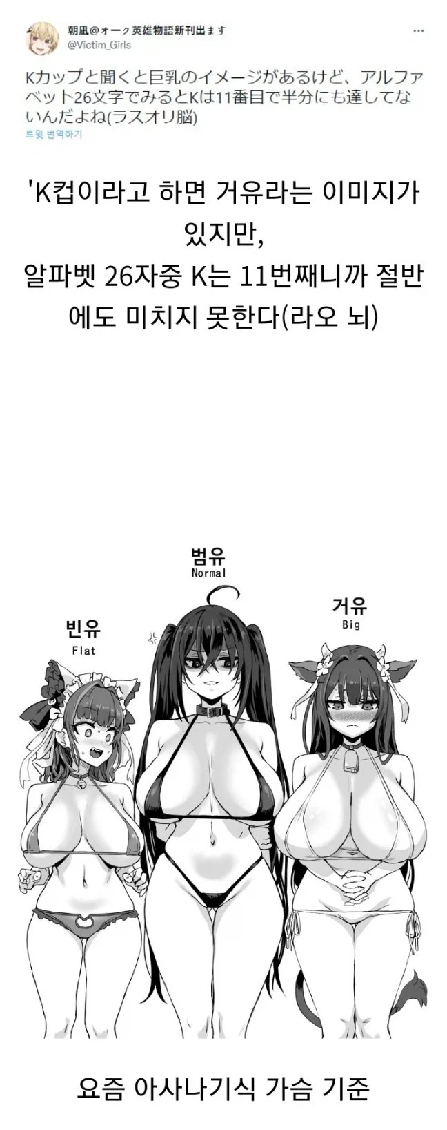 아사나기식 가슴 크기 기준_1.webp