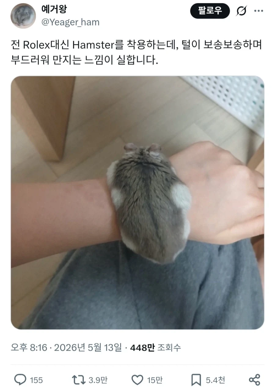 쥐와 사는 사람들의 권력 자랑_1.webp