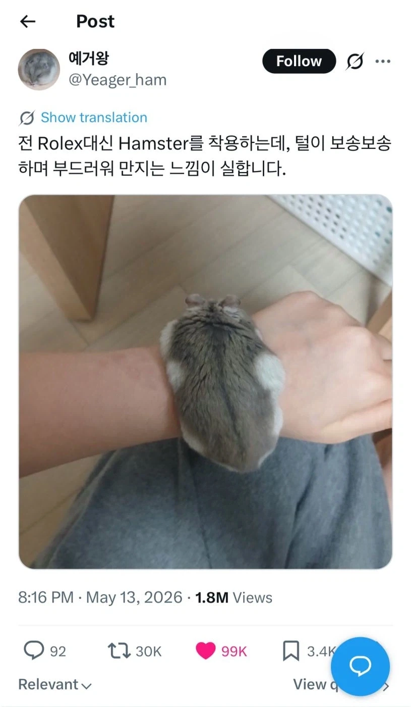롤렉스 대신 착용한 손목 시계._1.webp