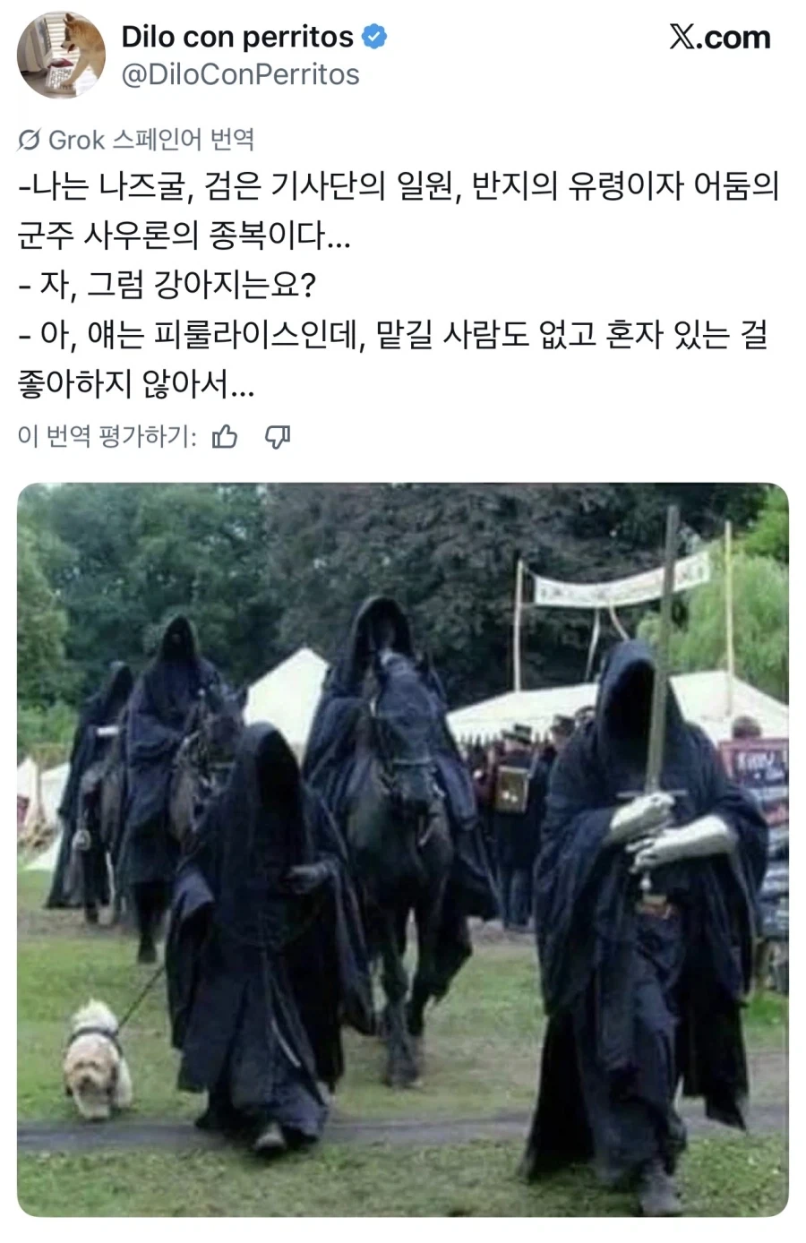 나는 나즈굴, 검은 기사단의 일원, 반지의 유령..._1.webp