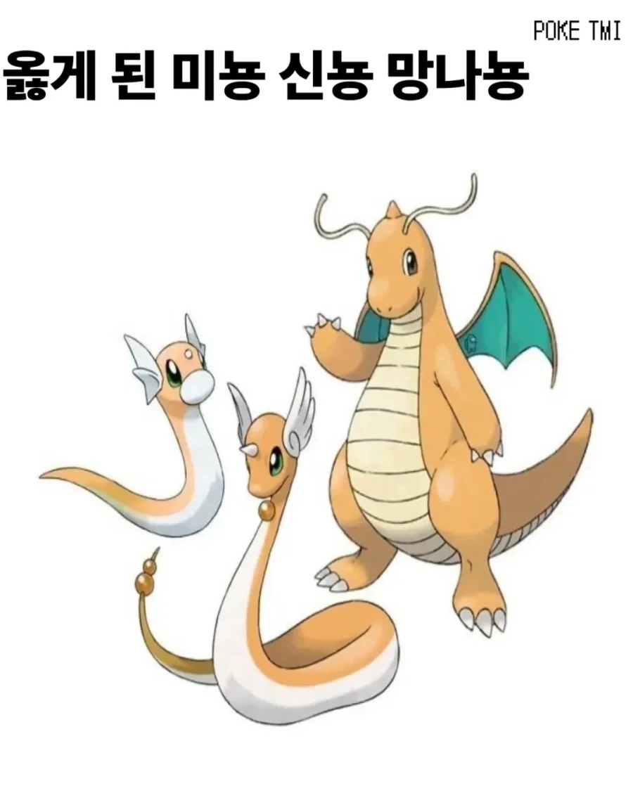 옳게 된 미뇽 신뇽 망나뇽_1.webp