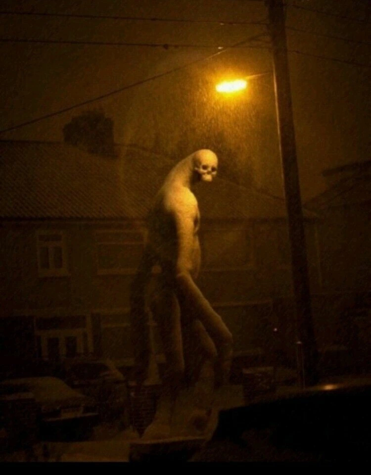 공포의 눈사람들.jpg_4.jpg