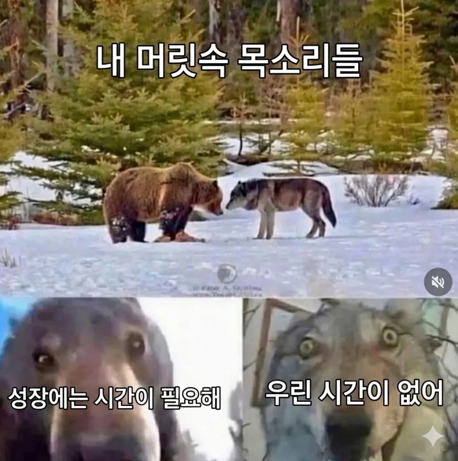 내 머릿속 두 목소리_1.webp