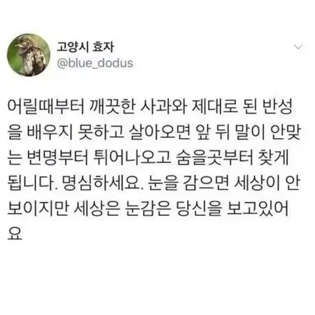 어릴때부터 사과와 반성을 배워야하는 이유_1.webp
