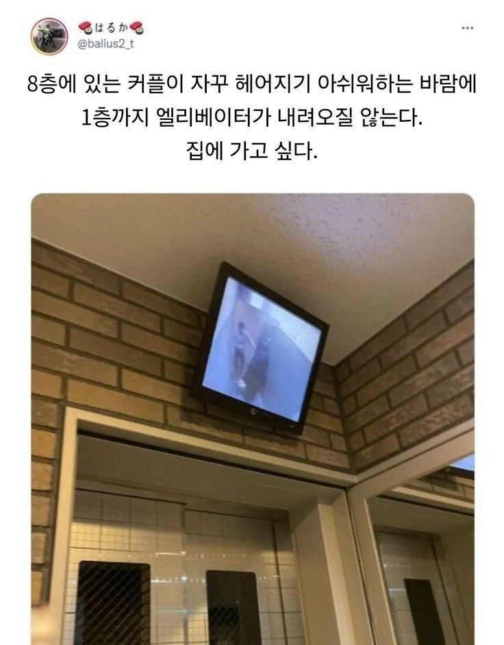 I really want to stay at your house~_1.webp
